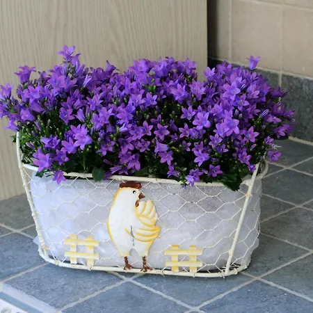 Il Borgodellequerce Casa Ulivi Piscina Privata 마르티나프란카
